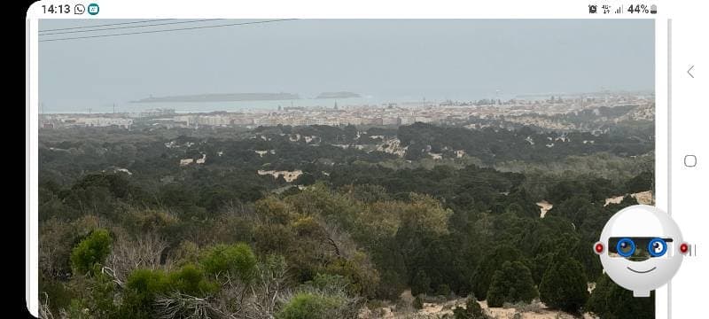 Beau terrain à 12 KM d' ESSAOUIRA sur la route de Marrakech